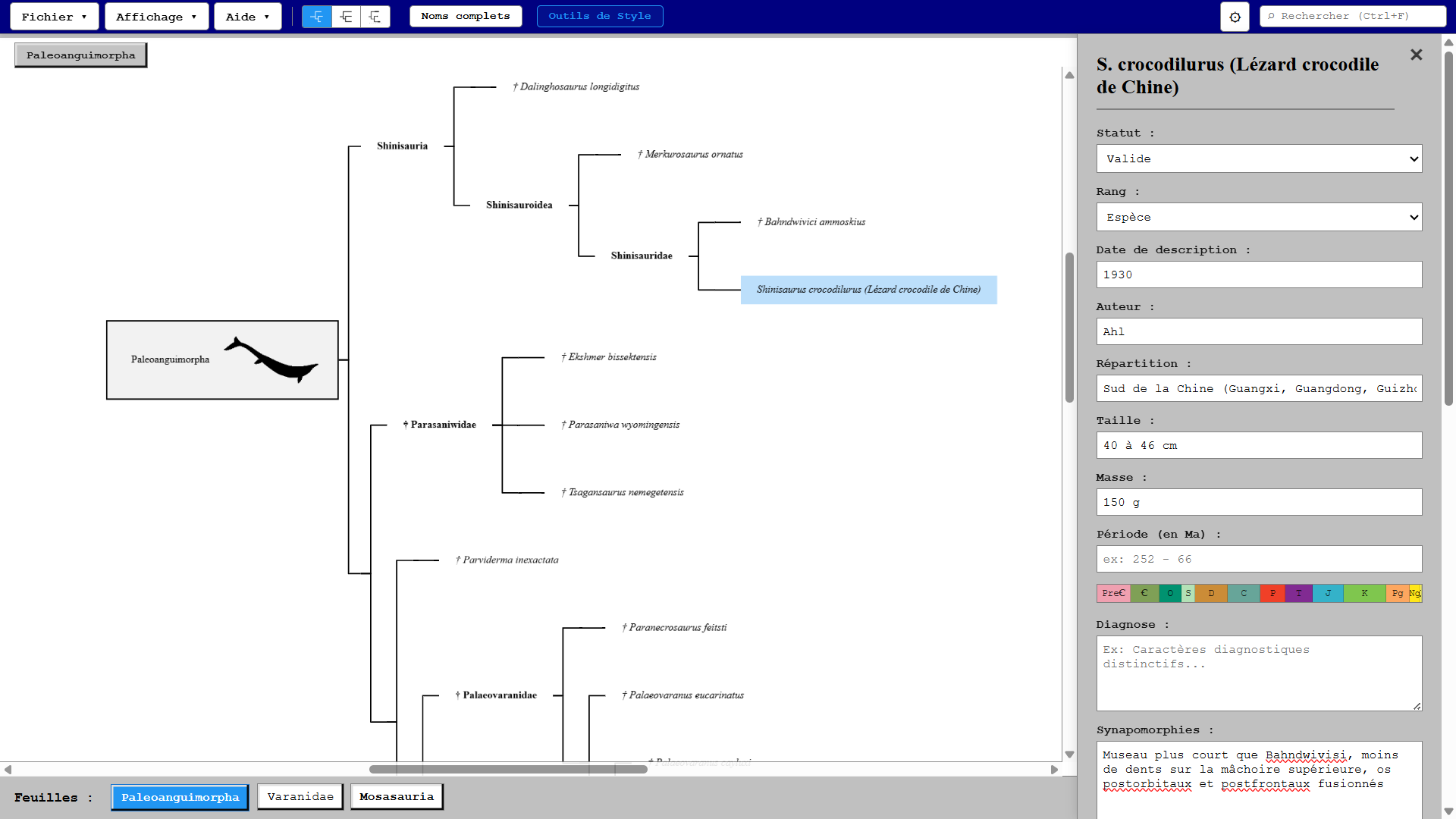 Interface de CladisTree : arbre des Paleoanguimorpha et fiche de Shinisaurus crocodilurus